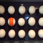 Egg Installation5 ostrich eggs brass chrome wood