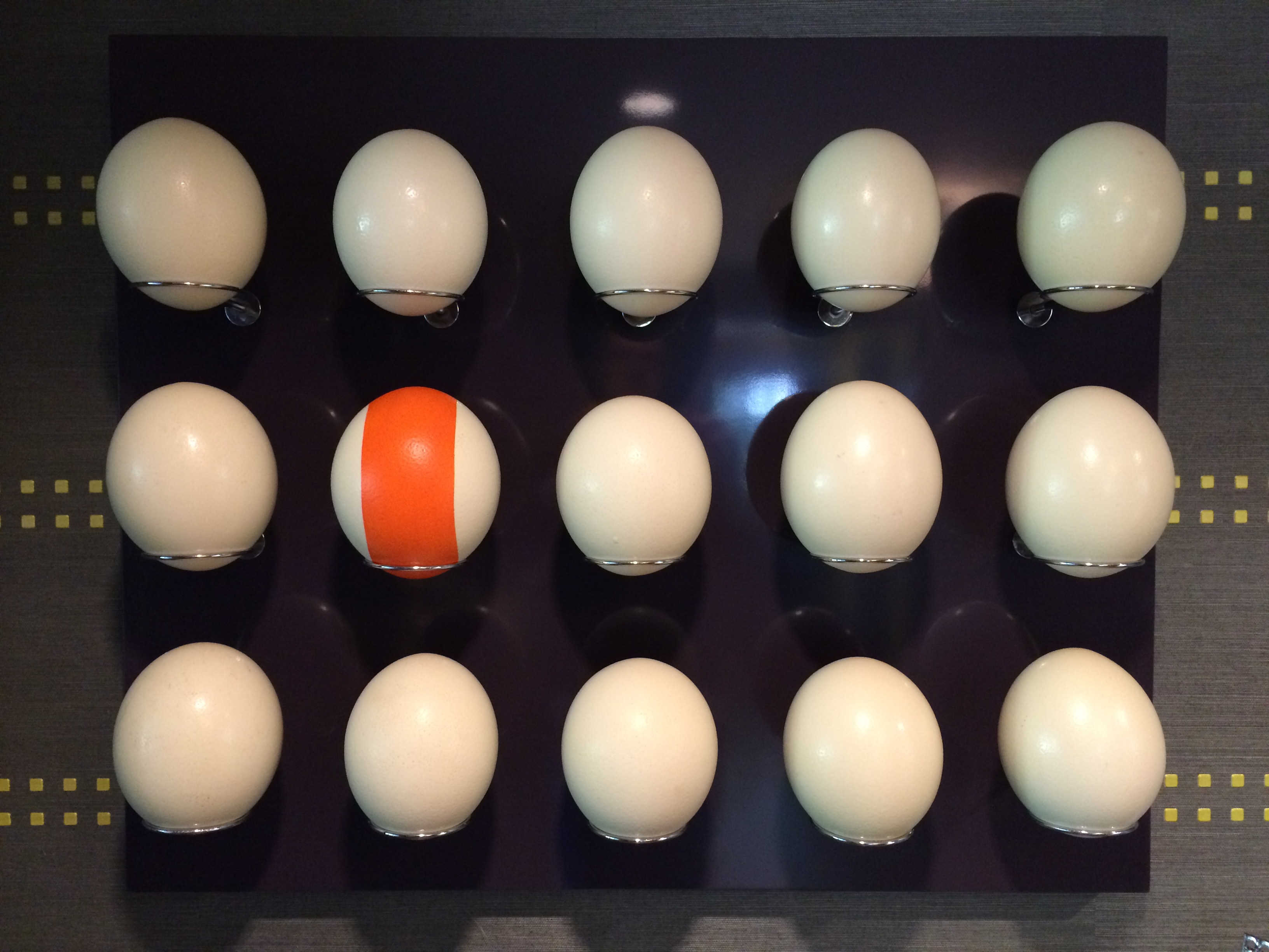 Egg Installation5 ostrich eggs brass chrome wood